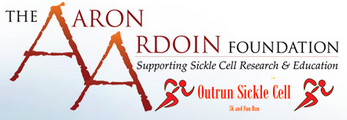 Donation to the AaronArdoin foundation.