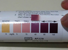 Moderate Ketosis, 24hrs a day by KetoStix!