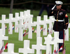 "Memorial Day", pause to reflect their sacrifice. 