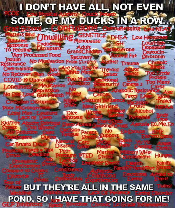 The Sabotage Ducks!