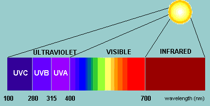 Spectrum of UV and visible light showing UVC, UVB and UVA at the short wavelength (blue) end of the visible spectrum